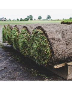 Graszoden Speelgazon vanaf 60m² en meer